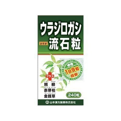 ウラジロガシ流石粒：240粒入