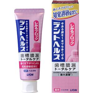 デントヘルス 薬用ハミガキしみるブロック：85g入